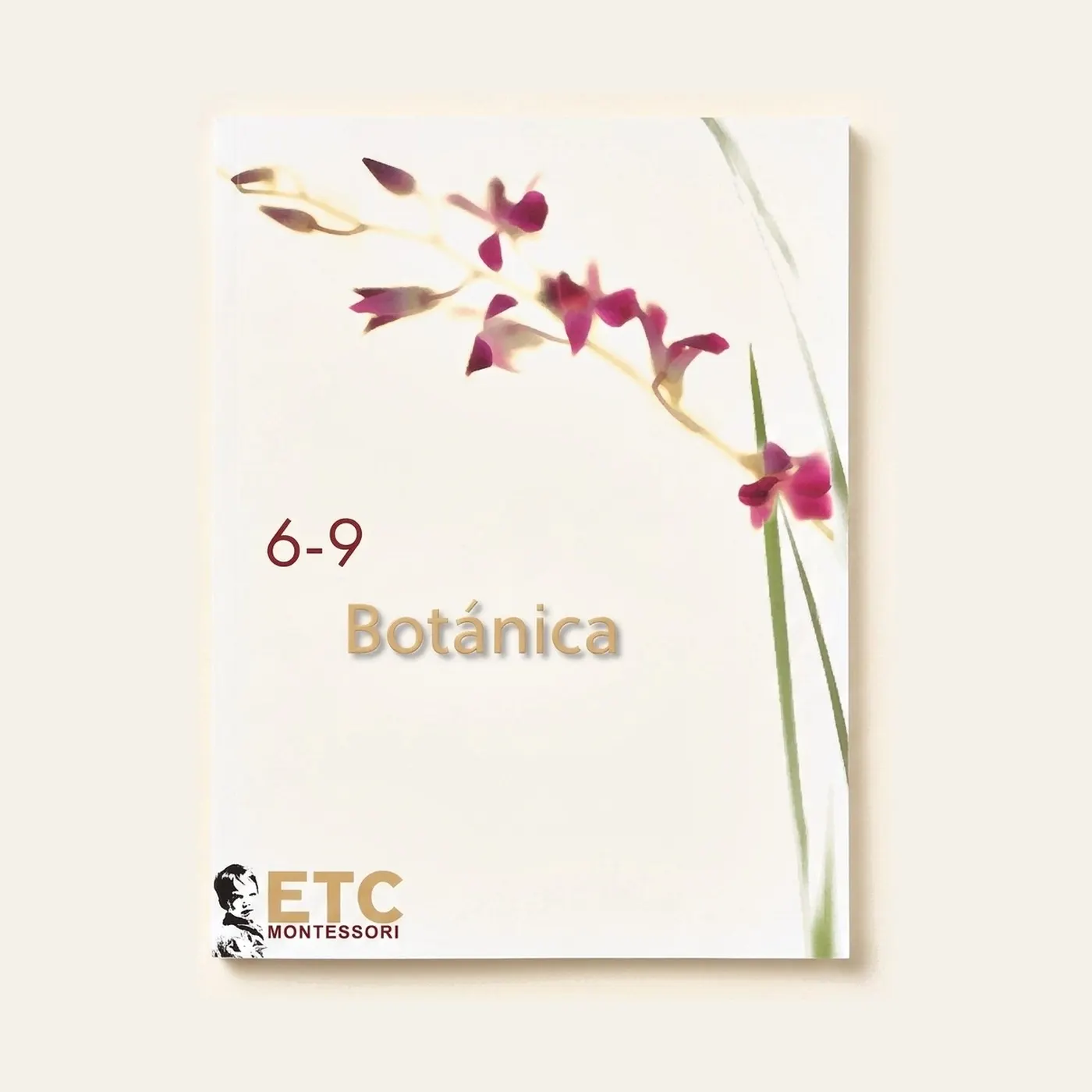 Lower Elementary Botany Cards: Scientific Plant Nomenclature: Montessori material | Faborino