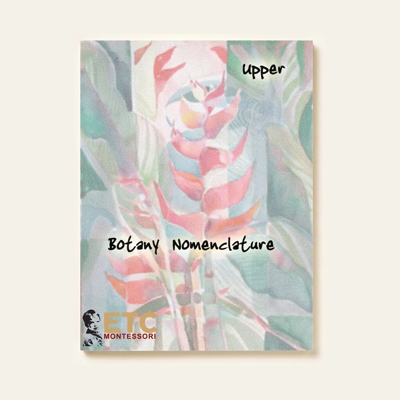 Upper Elementary Botany Cards: Advanced Plant Nomenclature