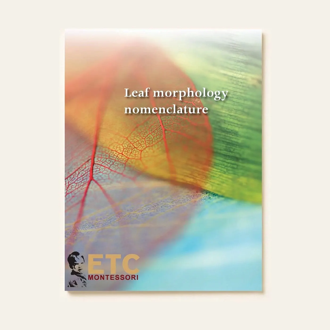 Leaf Morphology Nomenclature: Montessori material | Faborino