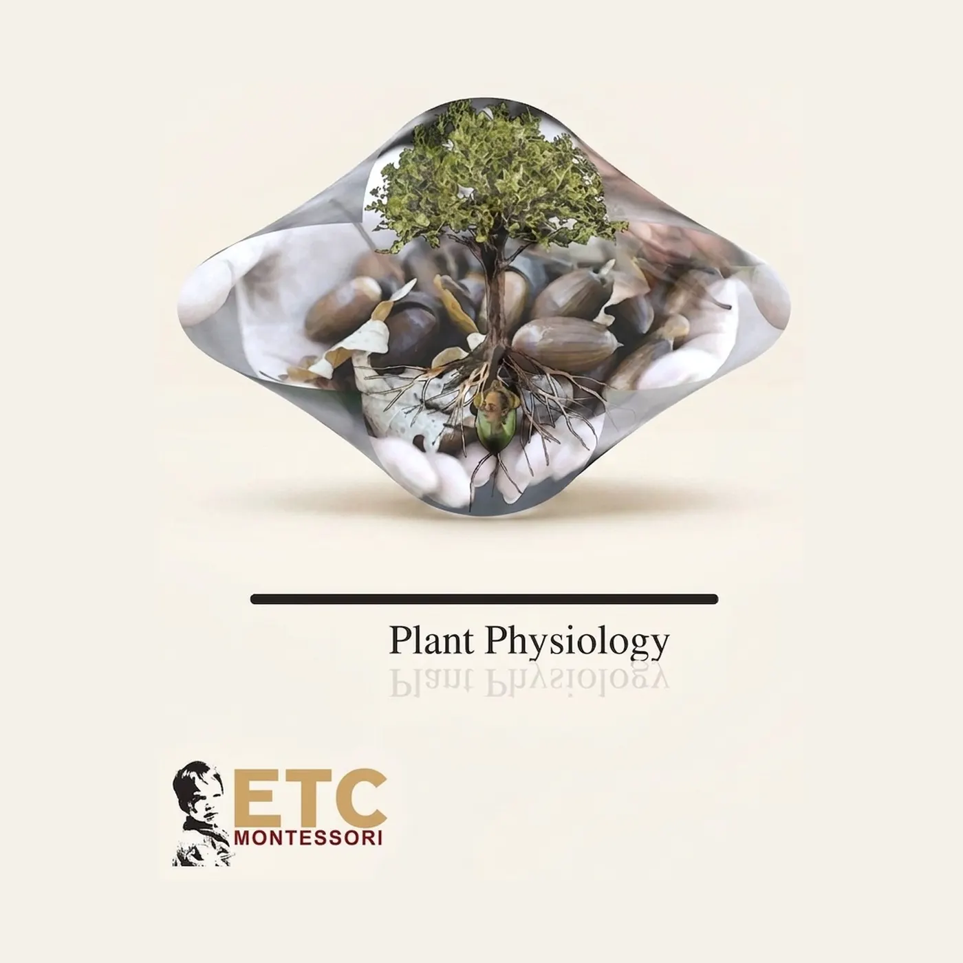 Plant Physiology: 18 Impressionistic Charts