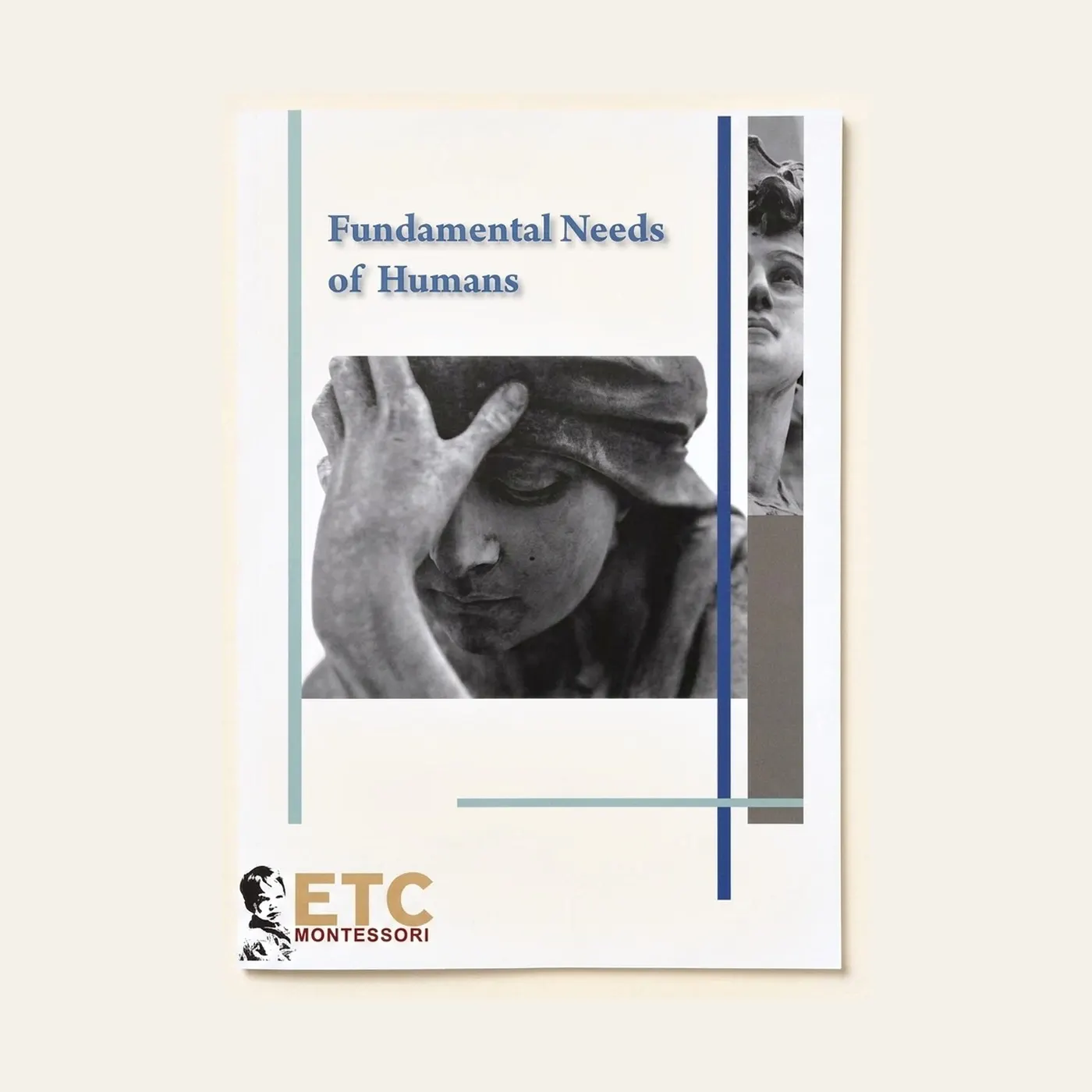 Fundamental Needs Of Humans: Montessori material | Faborino
