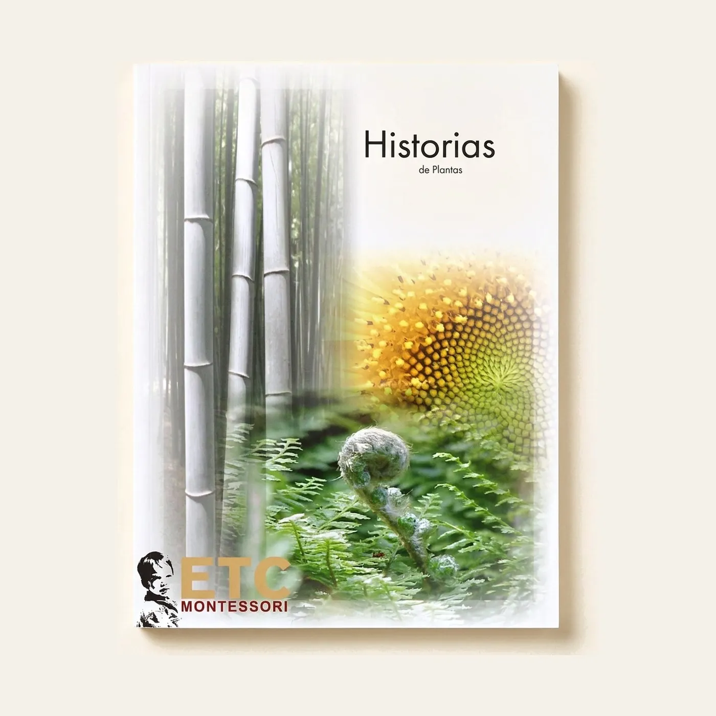 Plant Stories Cards: Spanish Edition: Montessori material | Faborino