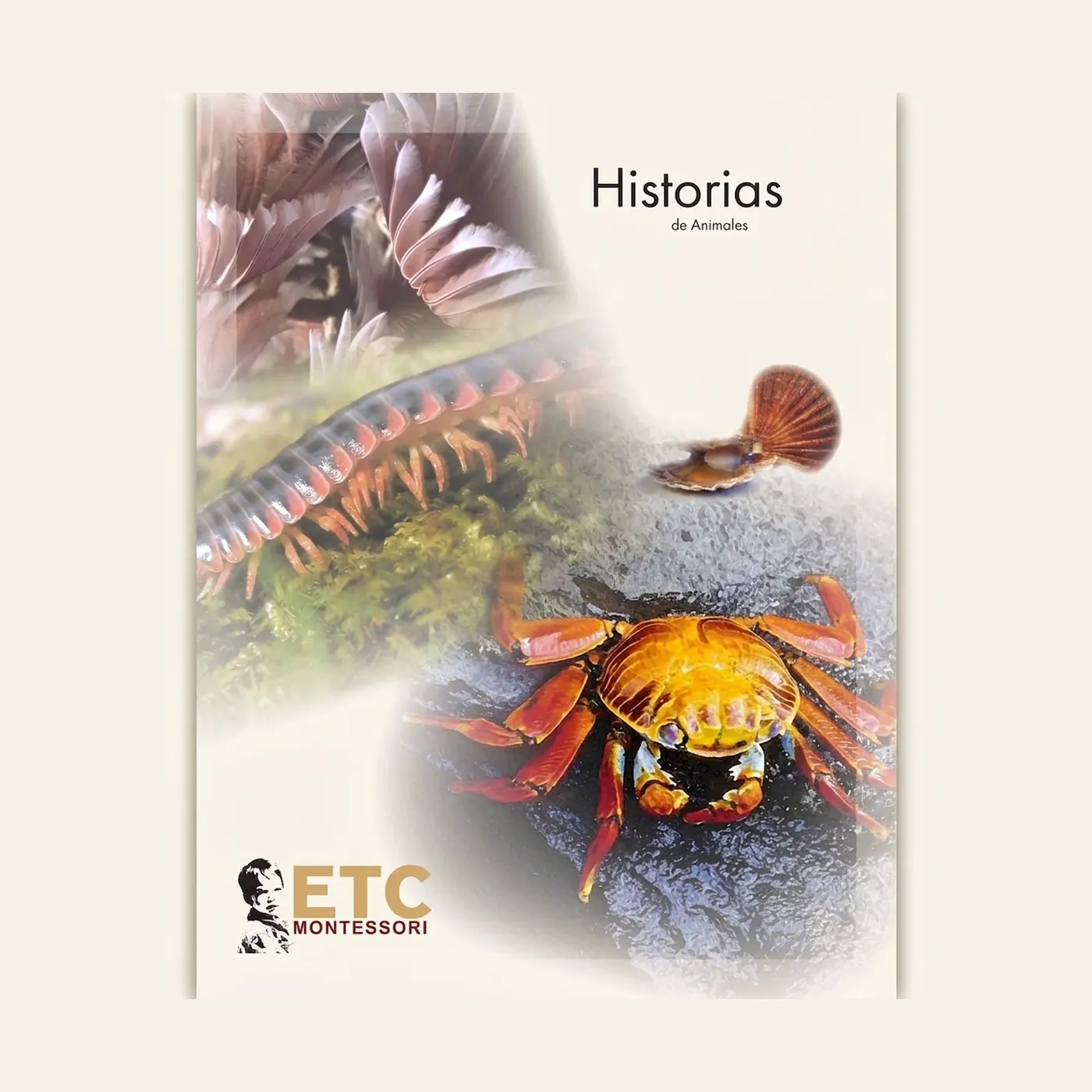 Historias De Animales (Spanish Edition): Montessori material | Faborino