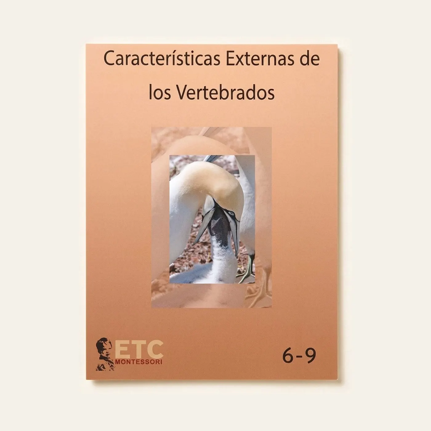 External Characteristics of Vertebrates: Spanish Edition: Montessori material | Faborino