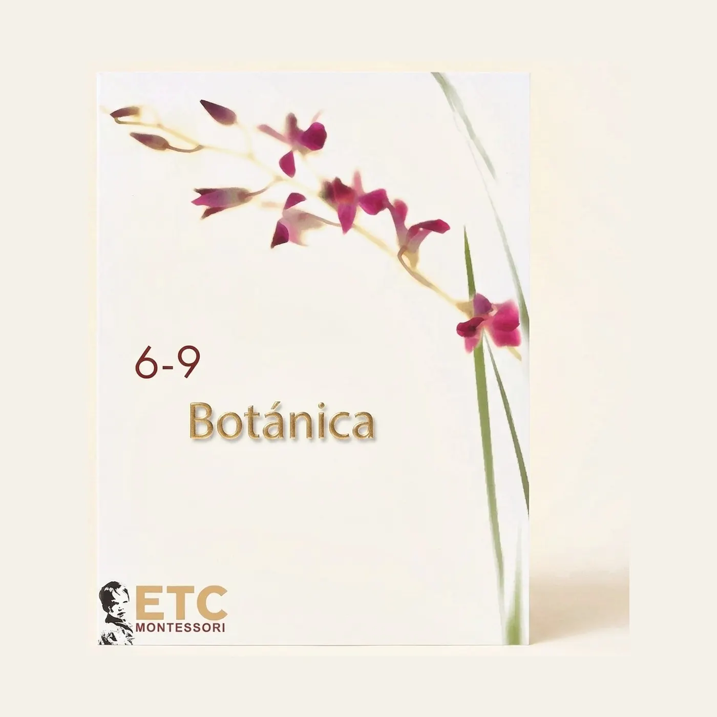 Botany Curriculum, Ages 6-9: Spanish Edition: Montessori material | Faborino