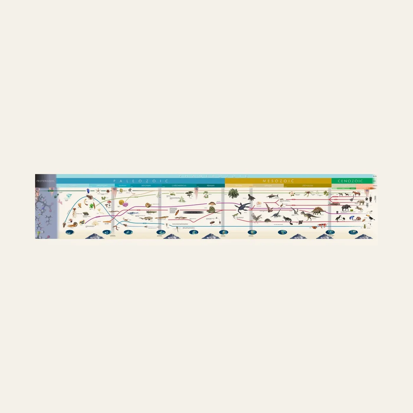 Timeline Of Life (Large Display): Montessori material | Faborino