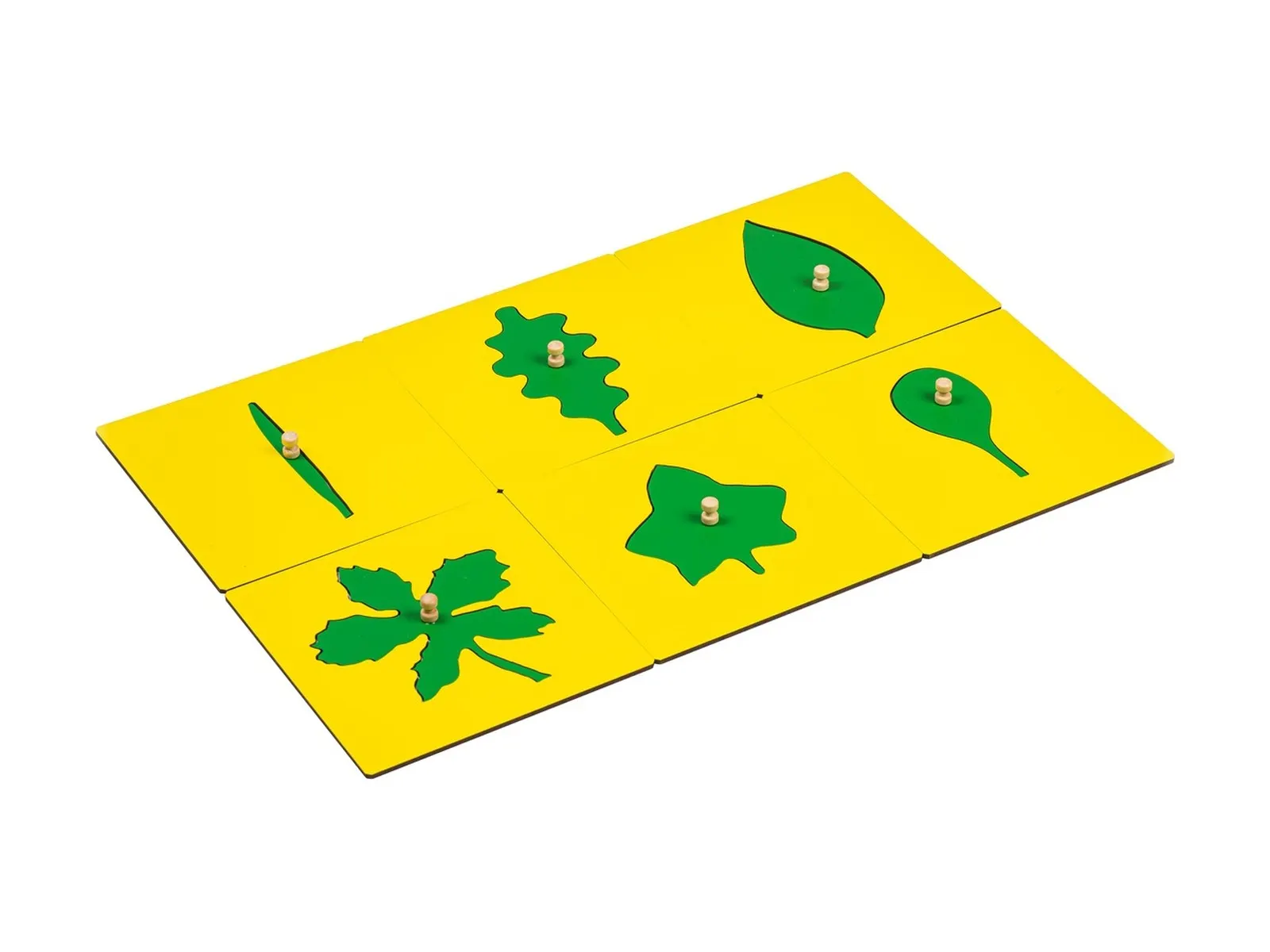 Leaf Shapes Insets For The Botany Cabinet: maker's photo