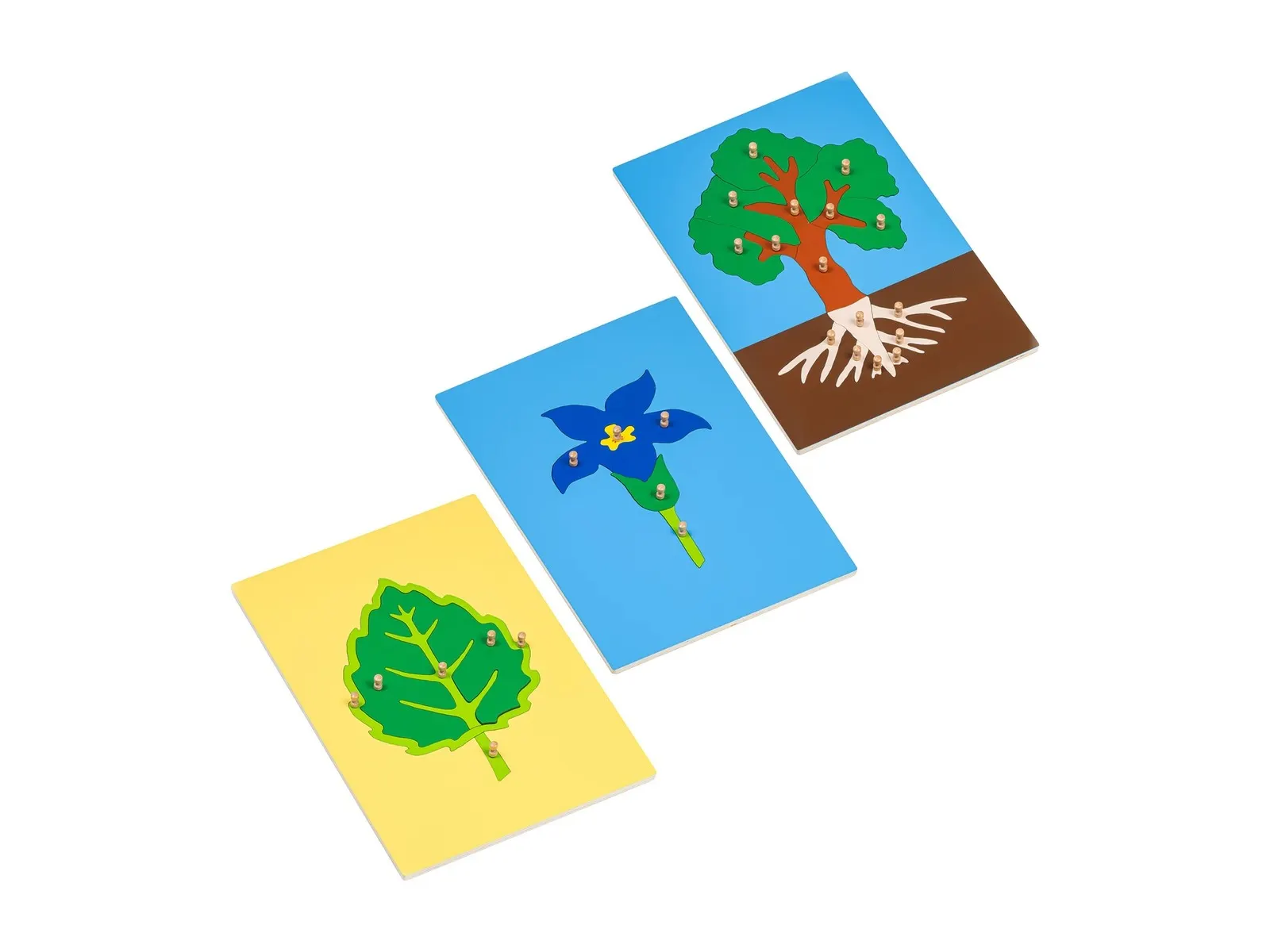 Tree, Leaf, Flower Puzzles: maker's photo
