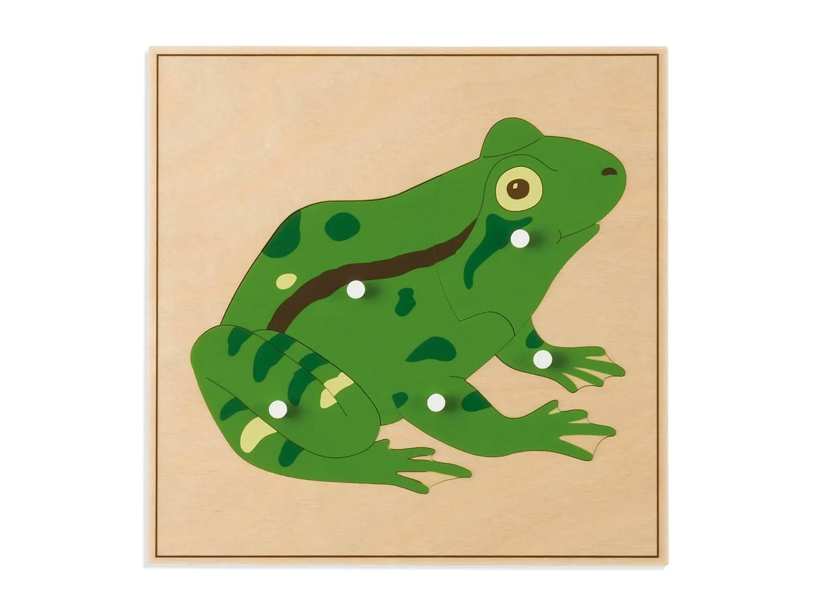 Puzzle zvířátko: Žába: fotka výrobce