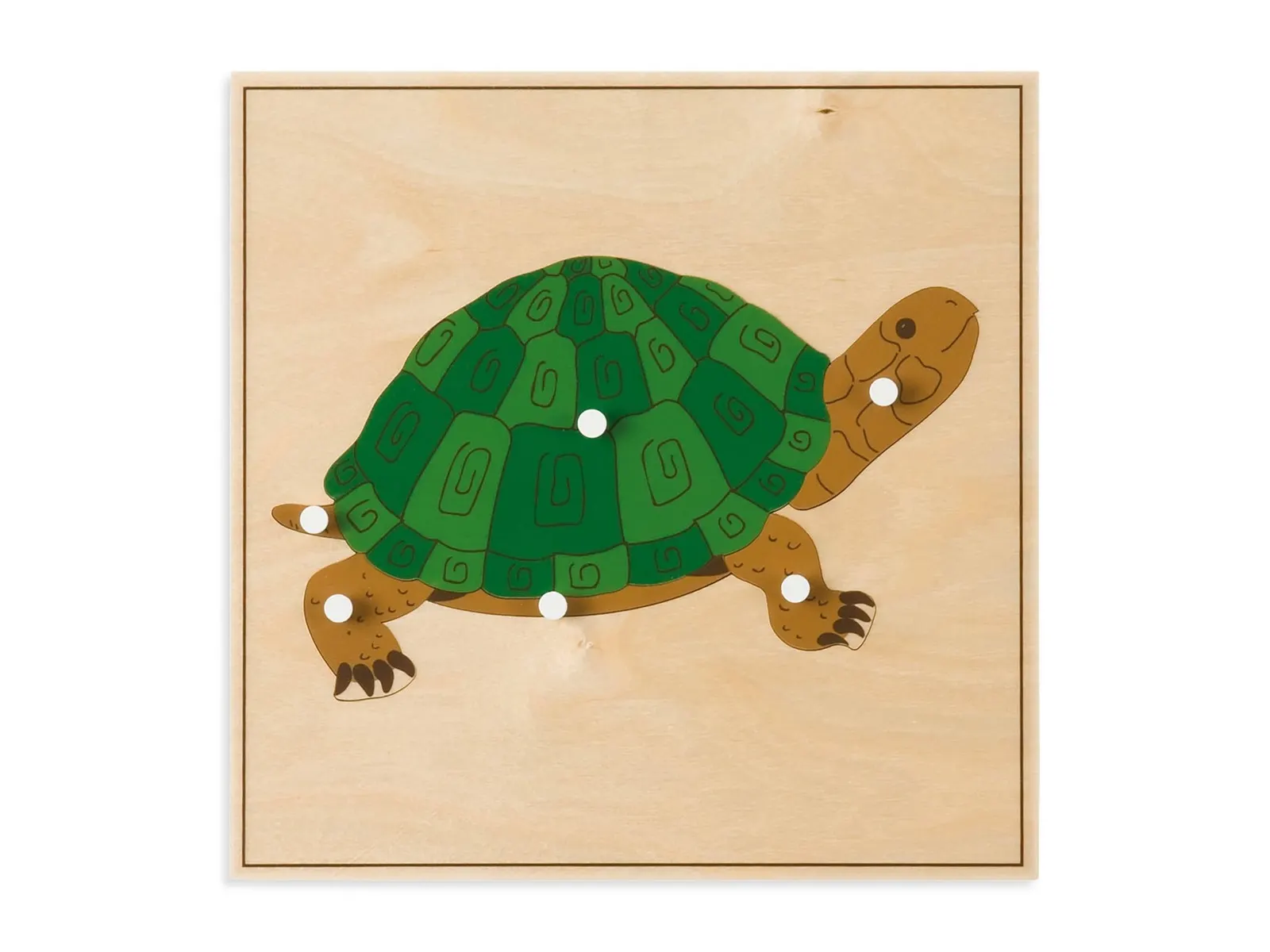 Puzzle zvieratko: Korytnačka: fotka výrobcu