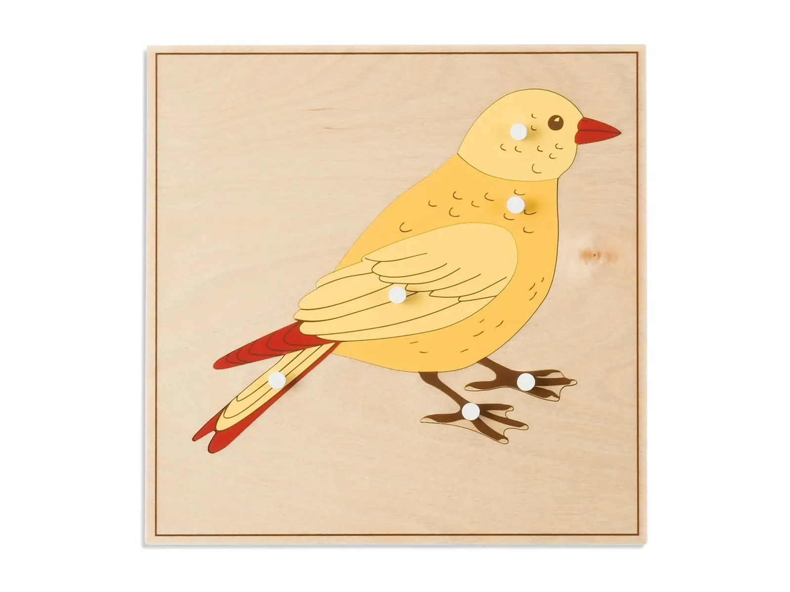 Puzzle zvířátko: Pták: fotka výrobce