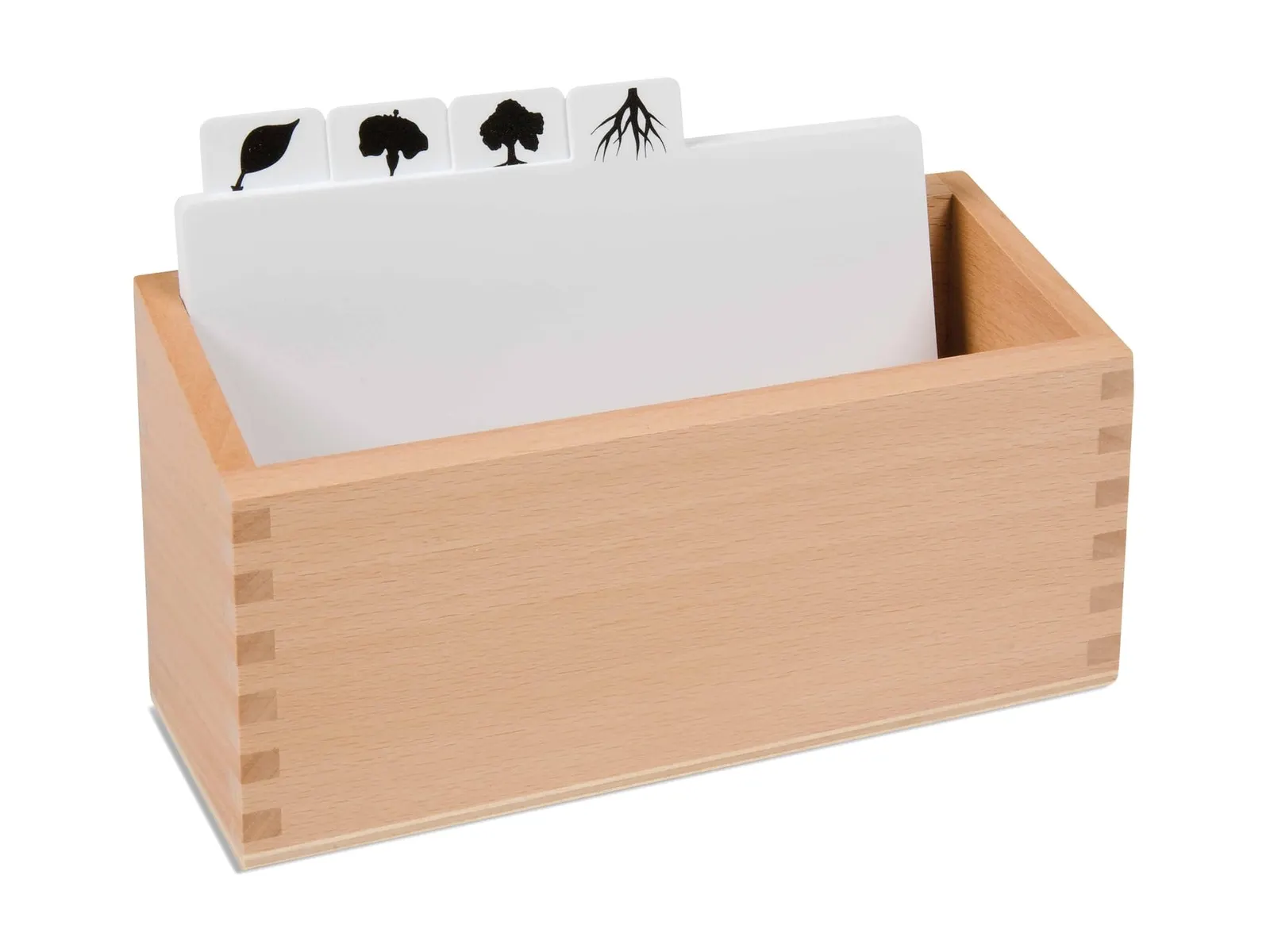 Box s botanickými šablonami: kopírovací předlohy pro puzzle: fotka výrobce