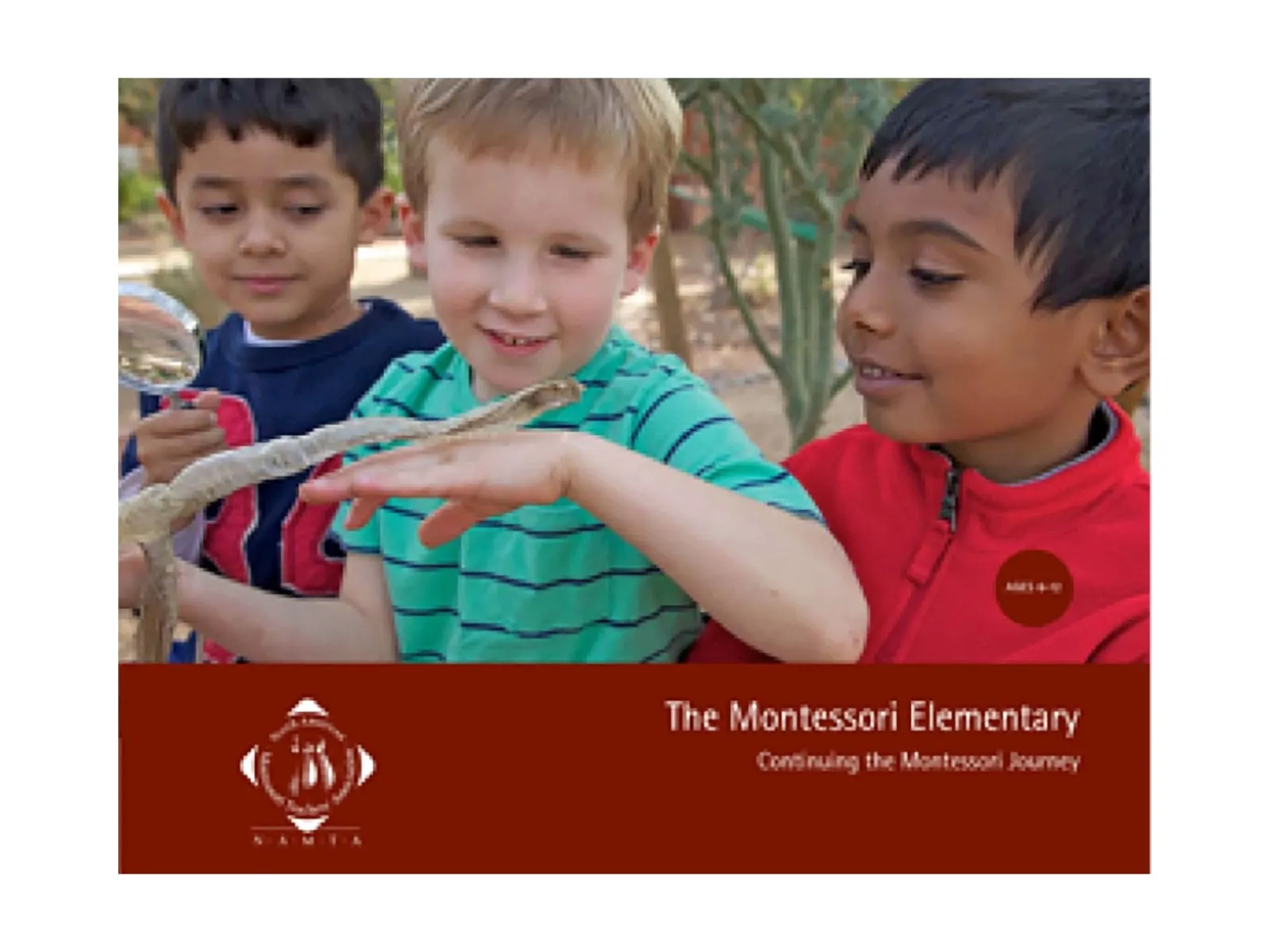 Montessori základná škola: Pokračovanie Montessori cesty: fotka výrobcu
