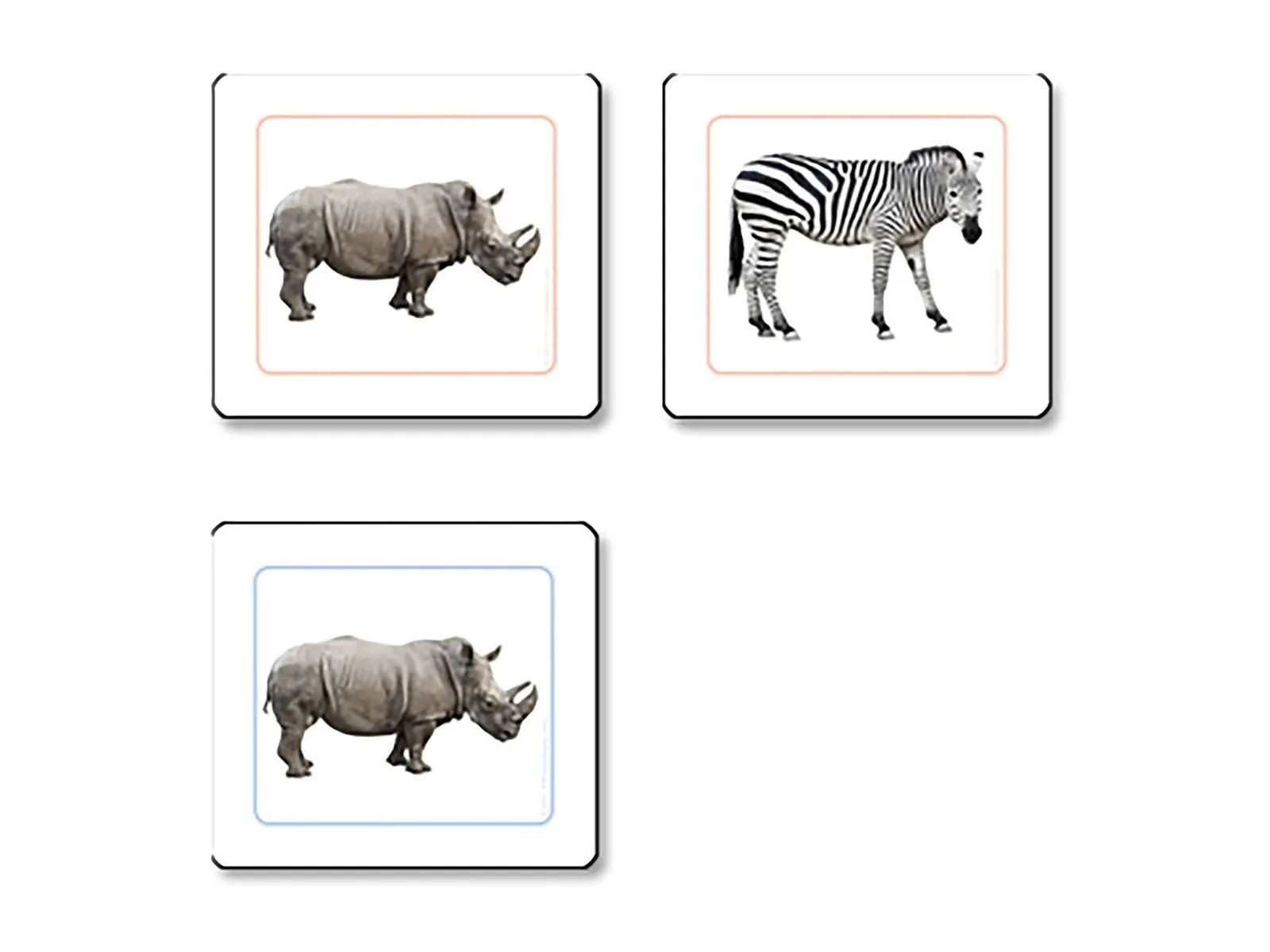 Přiřazovací karty afrických zvířat: fotka výrobce