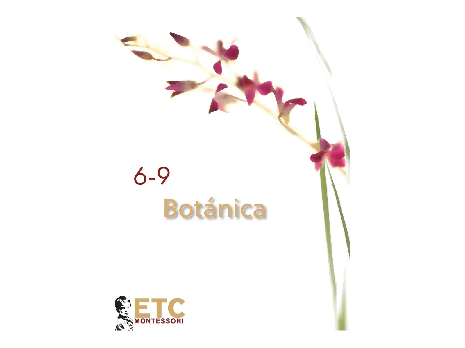 Botanika pro 6 až 9 let: španělské vydání: fotka výrobce