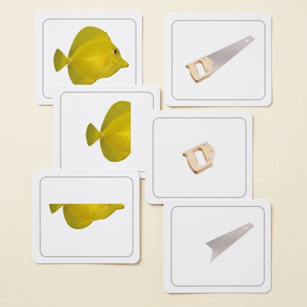 Části a celek - Montessori Material | Faborino