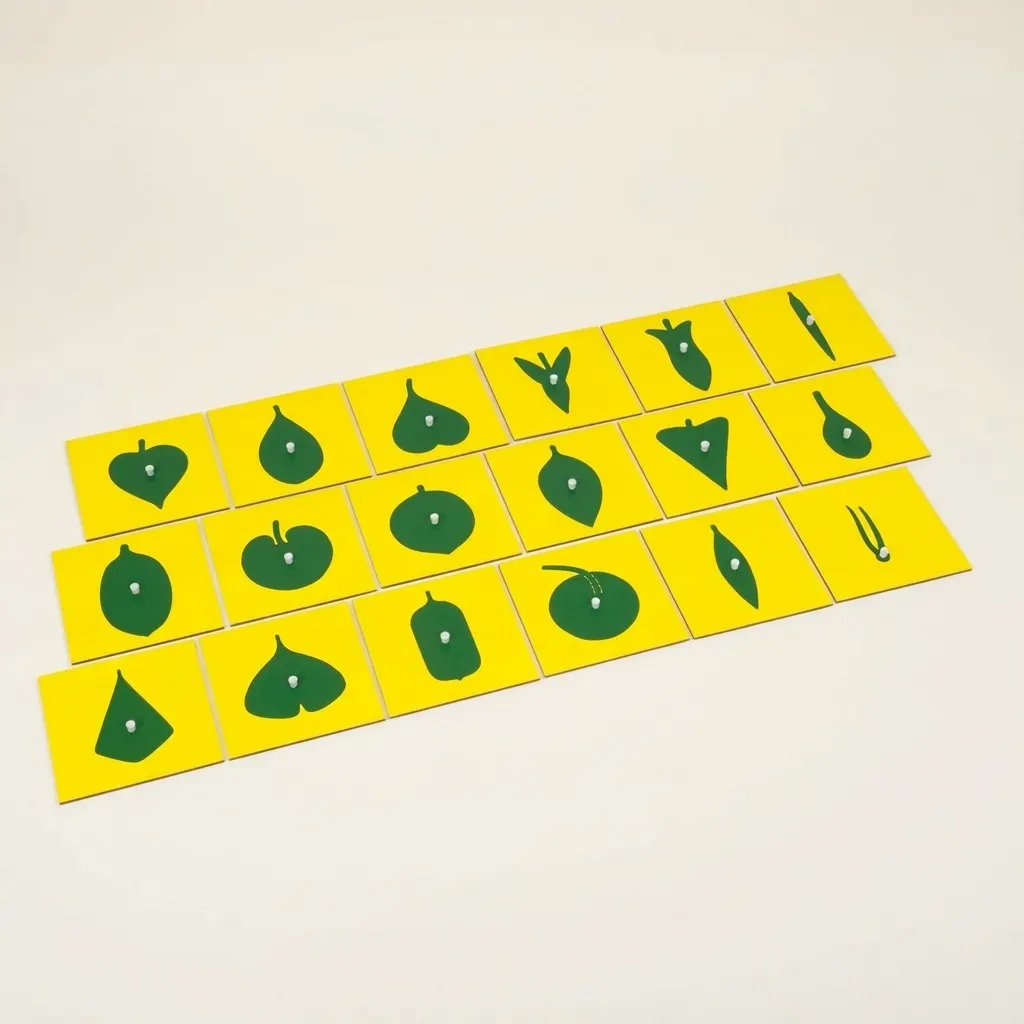 Obsah botanické skříňky - Montessori Material | Faborino