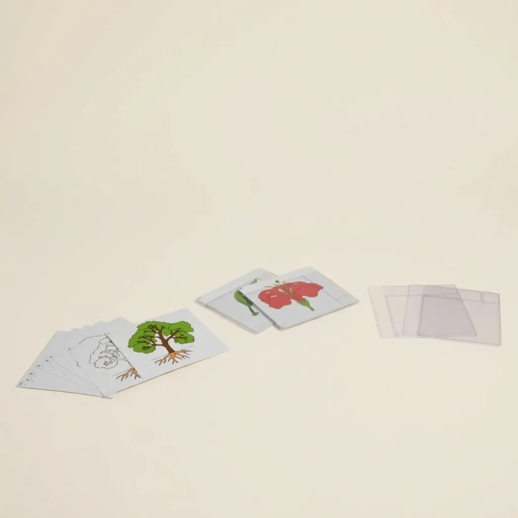 Prvá sada botanických kariet - Montessori Material | Faborino
