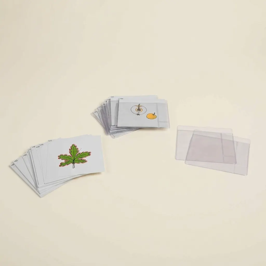 Botanické karty III.: pokročilé štúdium rastlín - Montessori Material | Faborino
