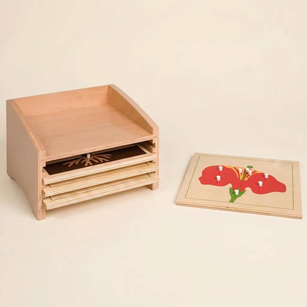 Skrinka na botanické skladačky: štyri priehradky - Montessori Material | Faborino
