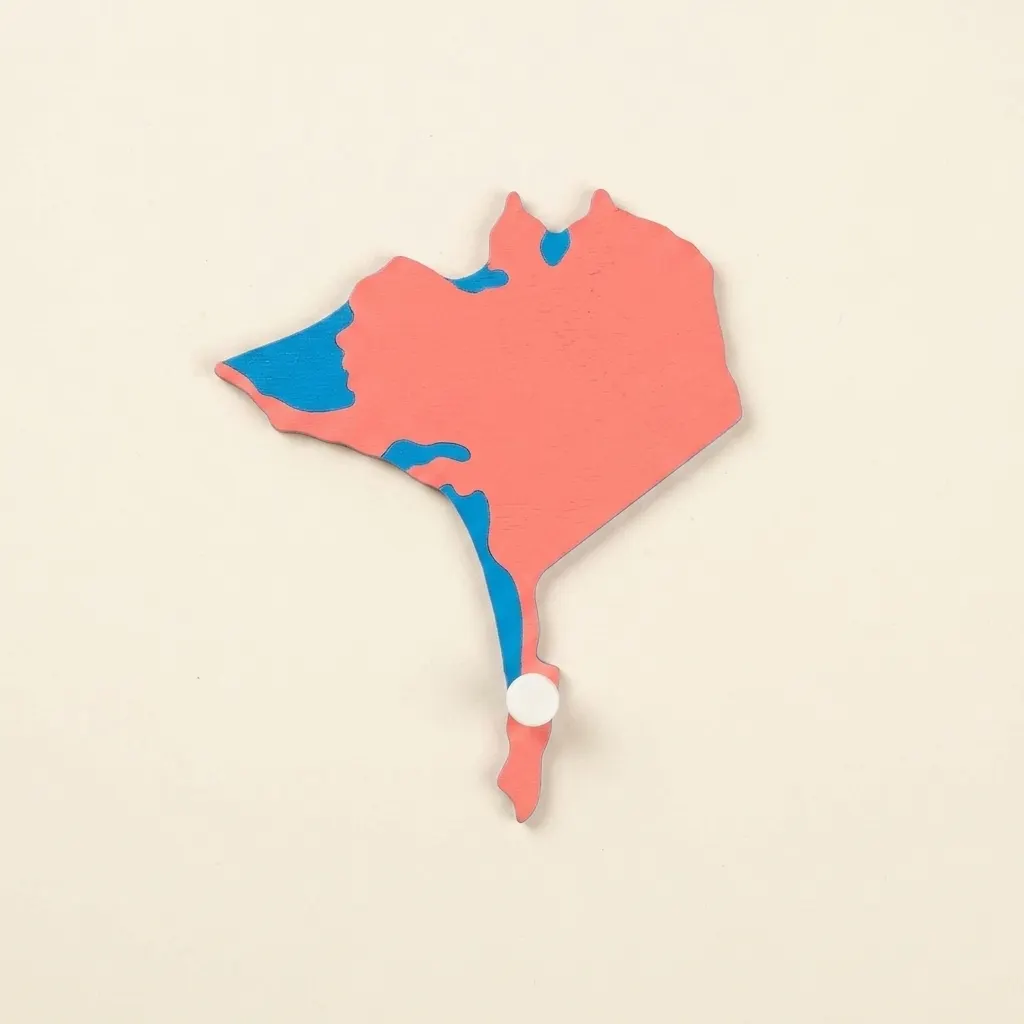 Puzzle dílek USA: Aljaška - Montessori Material | Faborino