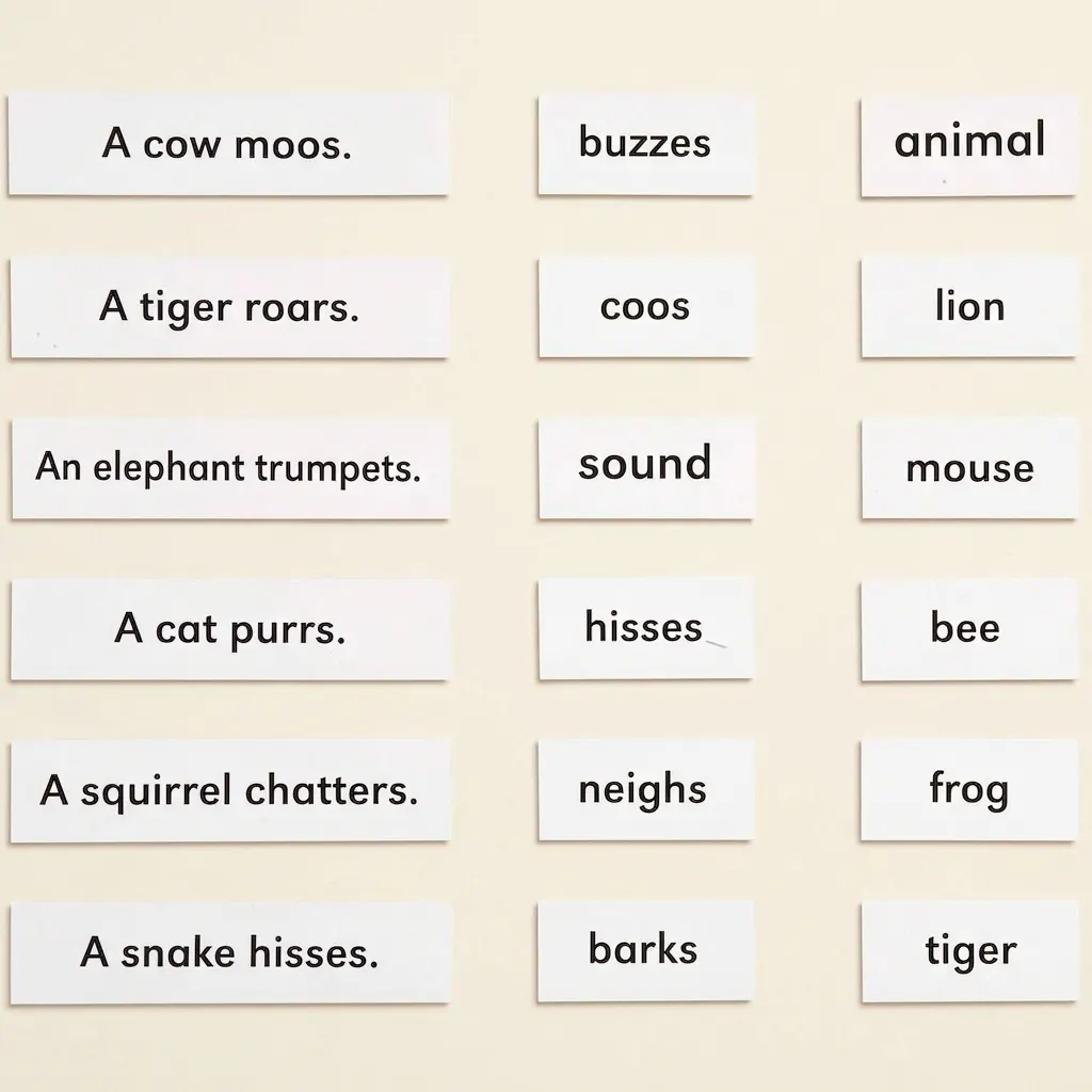 Zvieratá a ich zvuky - Montessori Material | Faborino