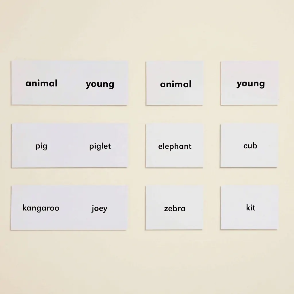 Zvieratá a ich mláďatá - Montessori Material | Faborino