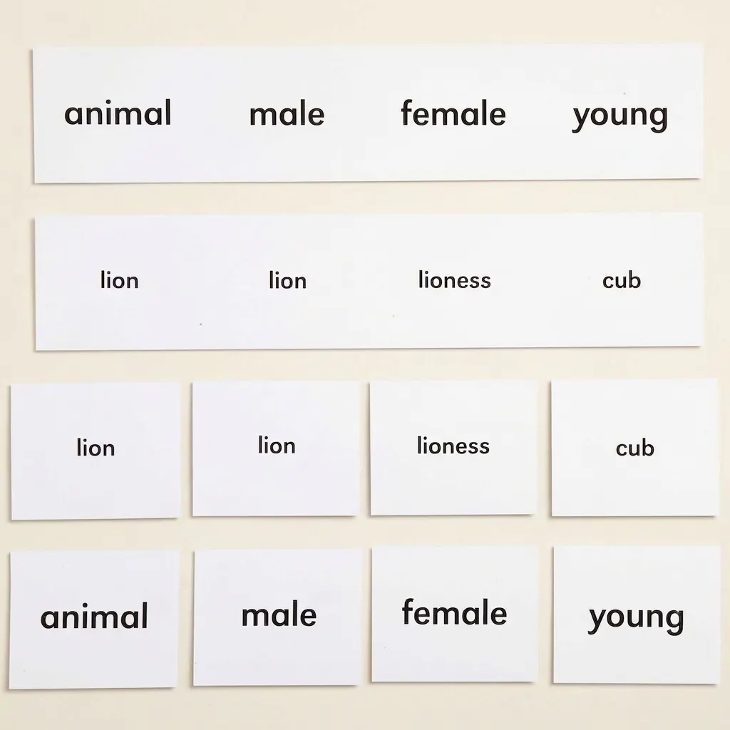 Názvy zvierat: jazykové klasifikačné karty - Montessori Material | Faborino
