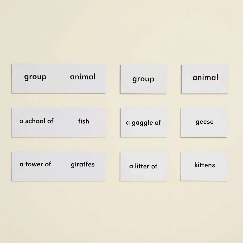 Zvieratá a ich skupiny - Montessori Material | Faborino