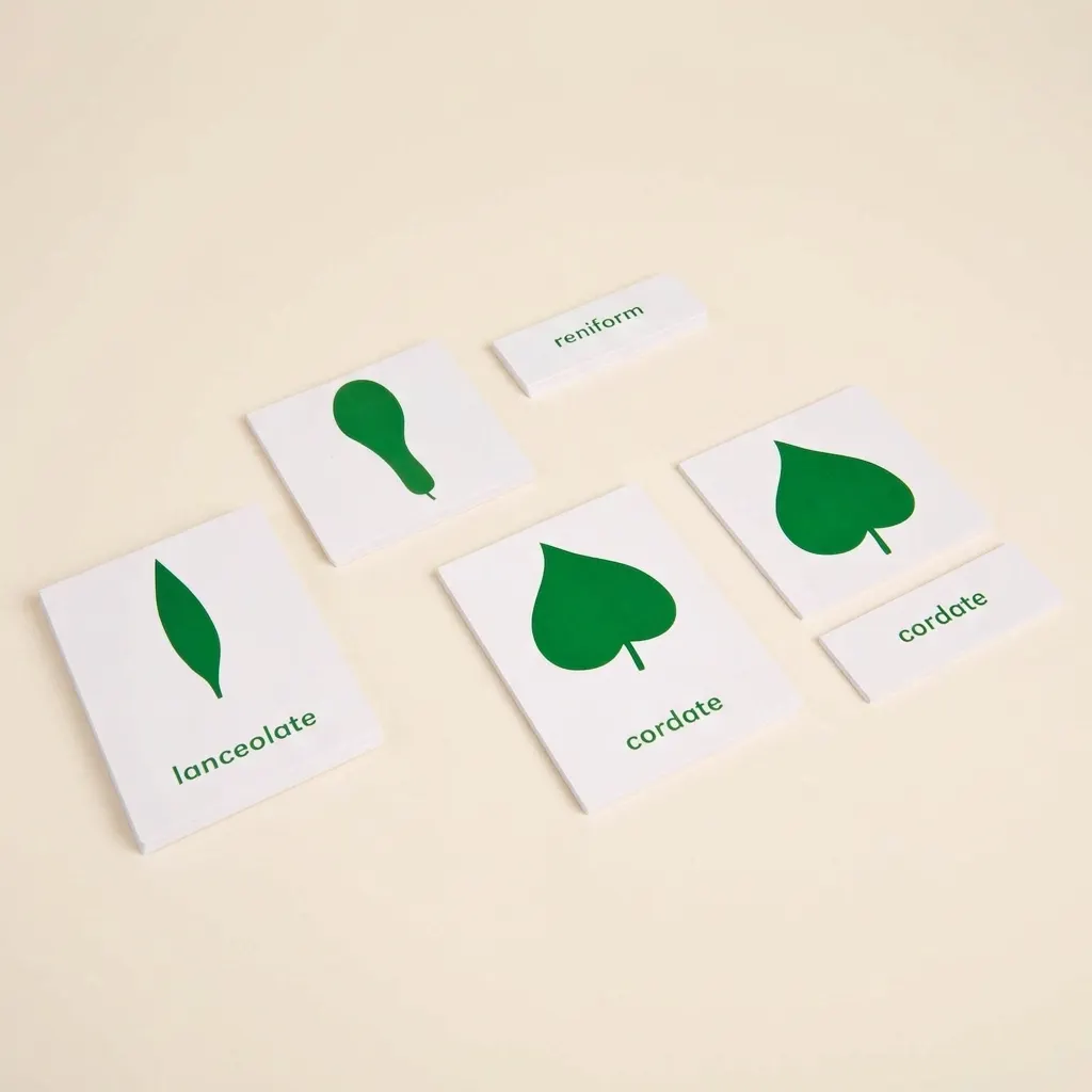Nomenklatúrne karty k botanickej skrinke - Montessori Material | Faborino