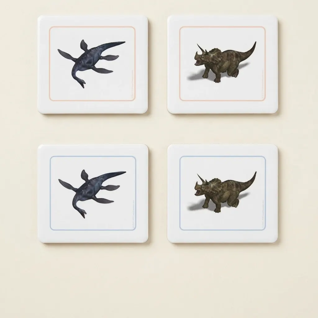 Priraďovacie karty dinosaurov - Montessori Material | Faborino