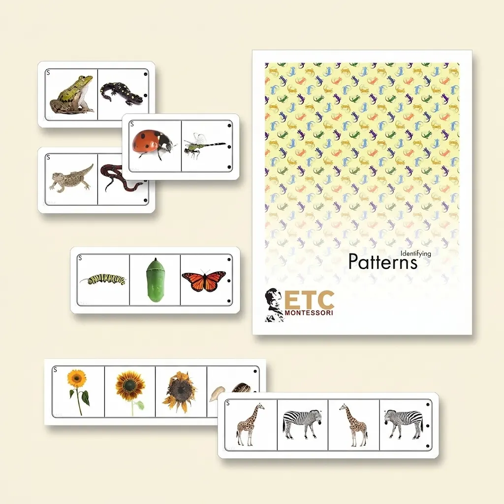 Hľadanie vzorcov v prírodných vedách - Montessori Material | Faborino