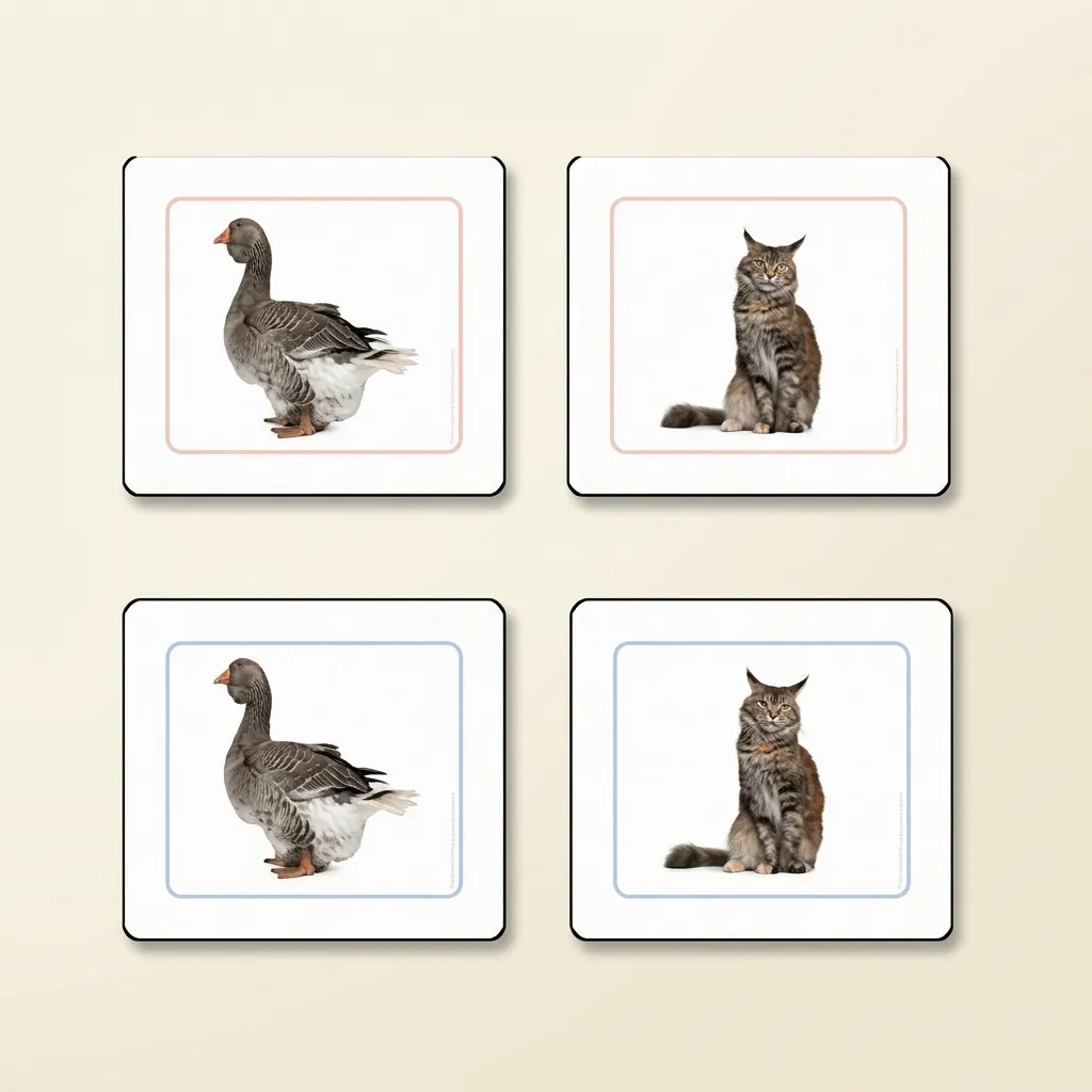 Priraďovacie pracovné karty domácich zvierat (španielske vydanie) - Montessori Material | Faborino