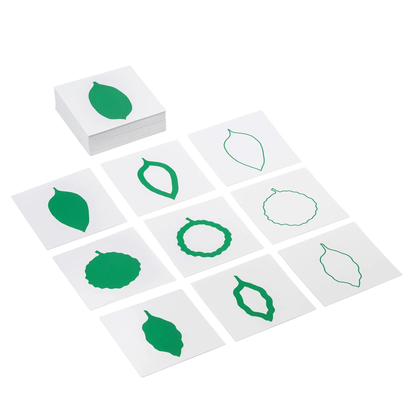 Leaf Shapes Cards: Catalog view