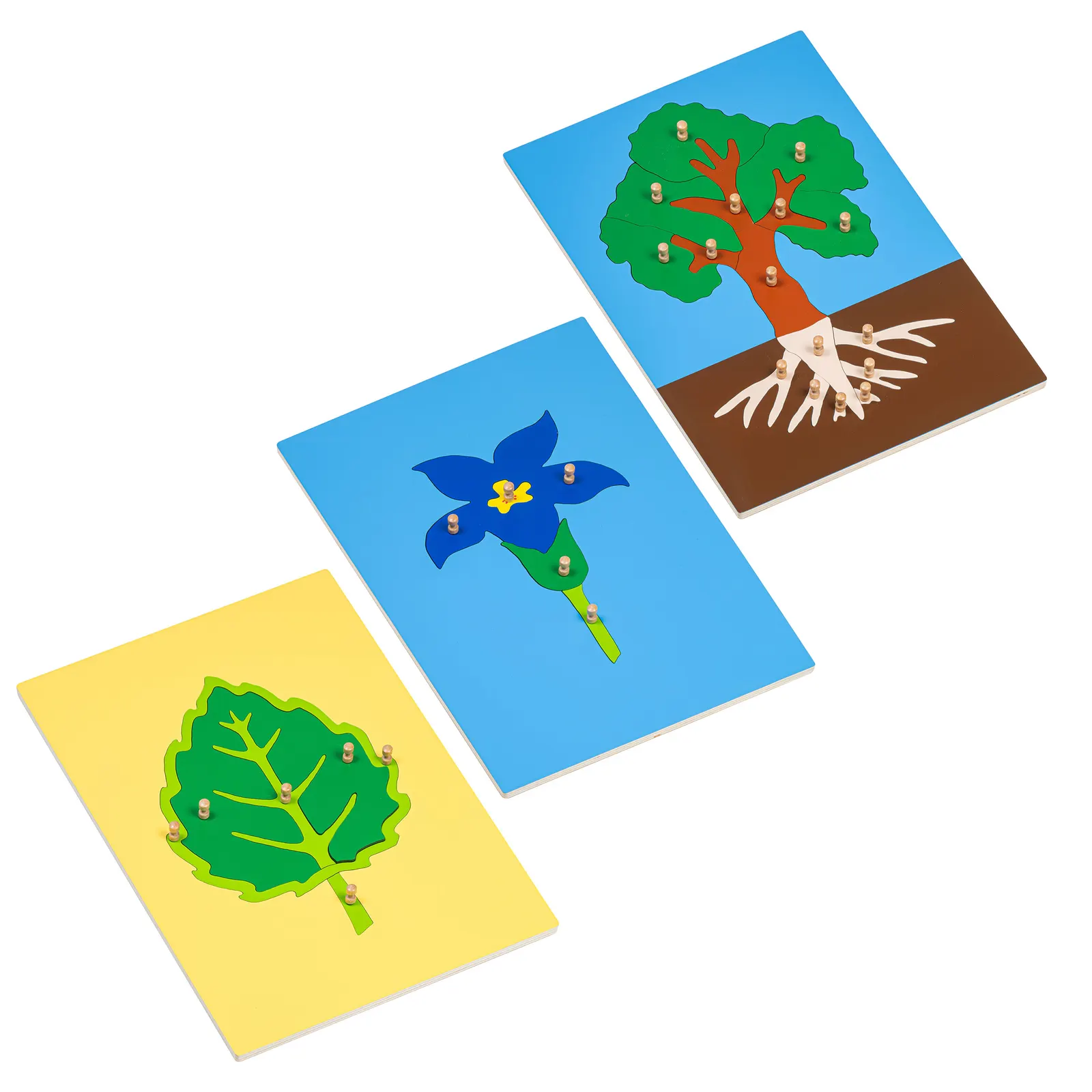 Botanik-Puzzles: Baum, Blatt und Blume: Katalogansicht