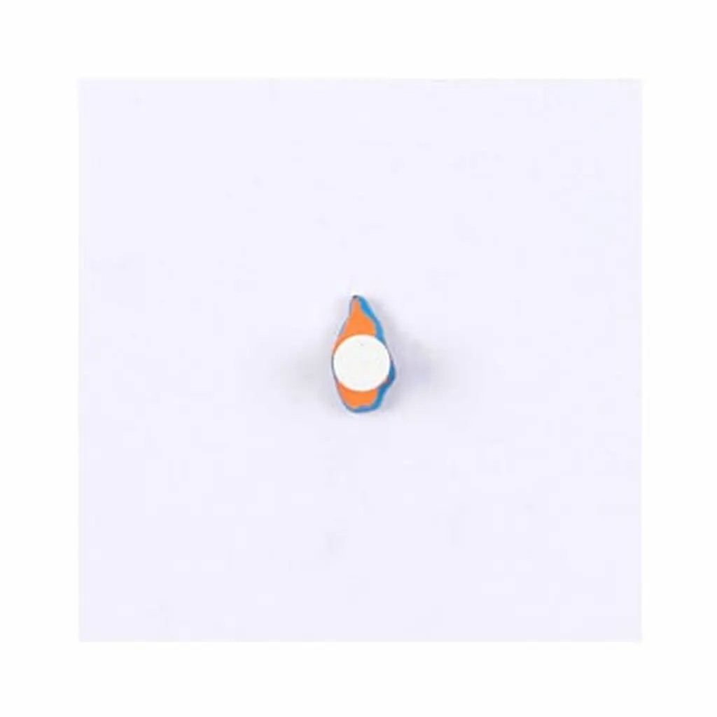 Puzzleteil Asien: Sri Lanka: Montessori Material | Faborino