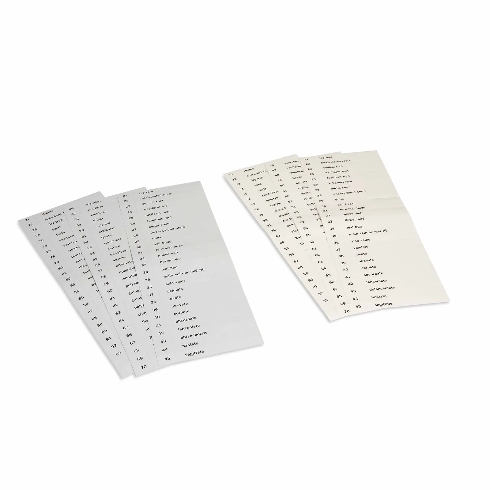 Karty s názvami: Druhá sada botanických kariet - Montessori Material | Faborino