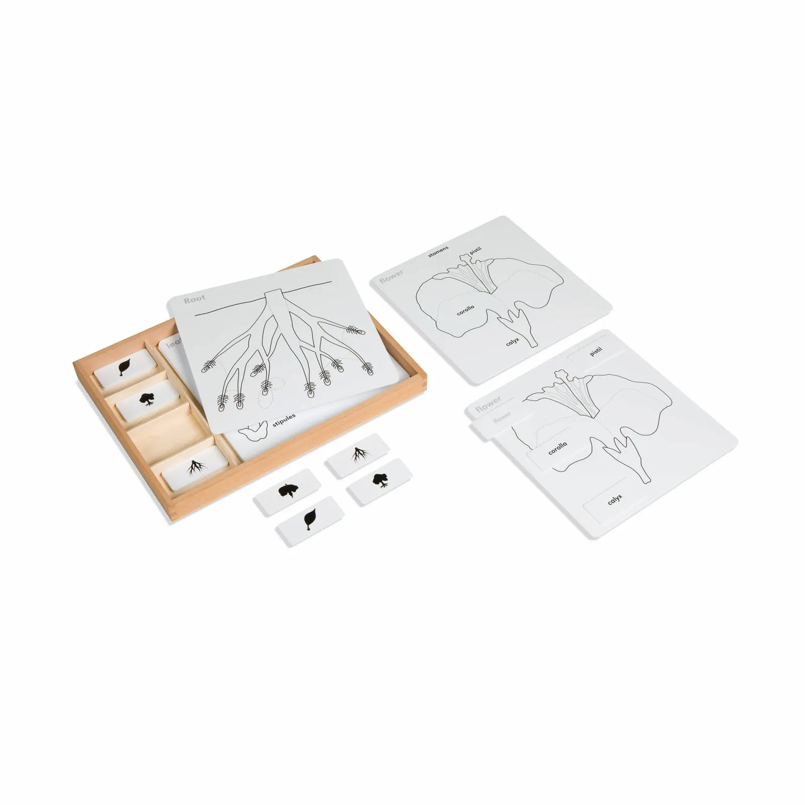 Súprava aktivít k botanickým skladačkám - Montessori Material | Faborino