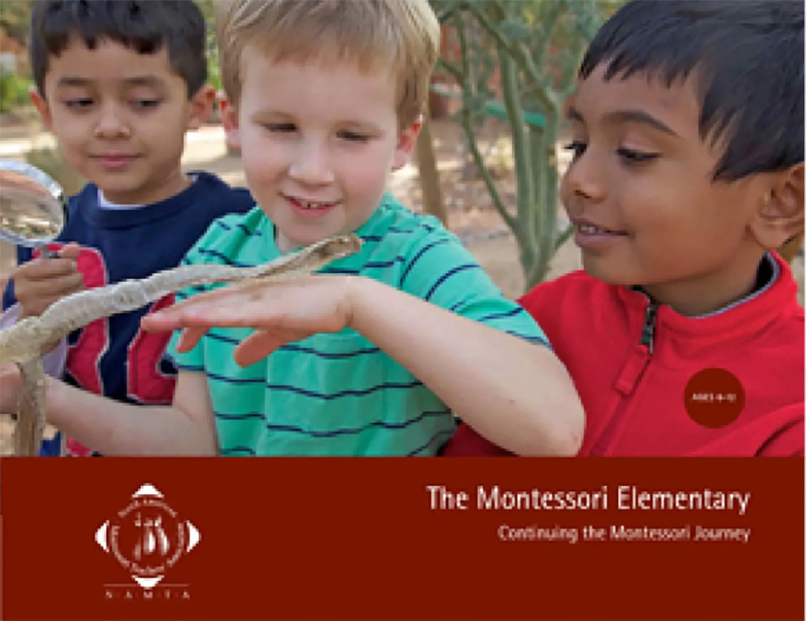 Montessori základní škola: Pokračování Montessori cesty - Montessori Material | Faborino