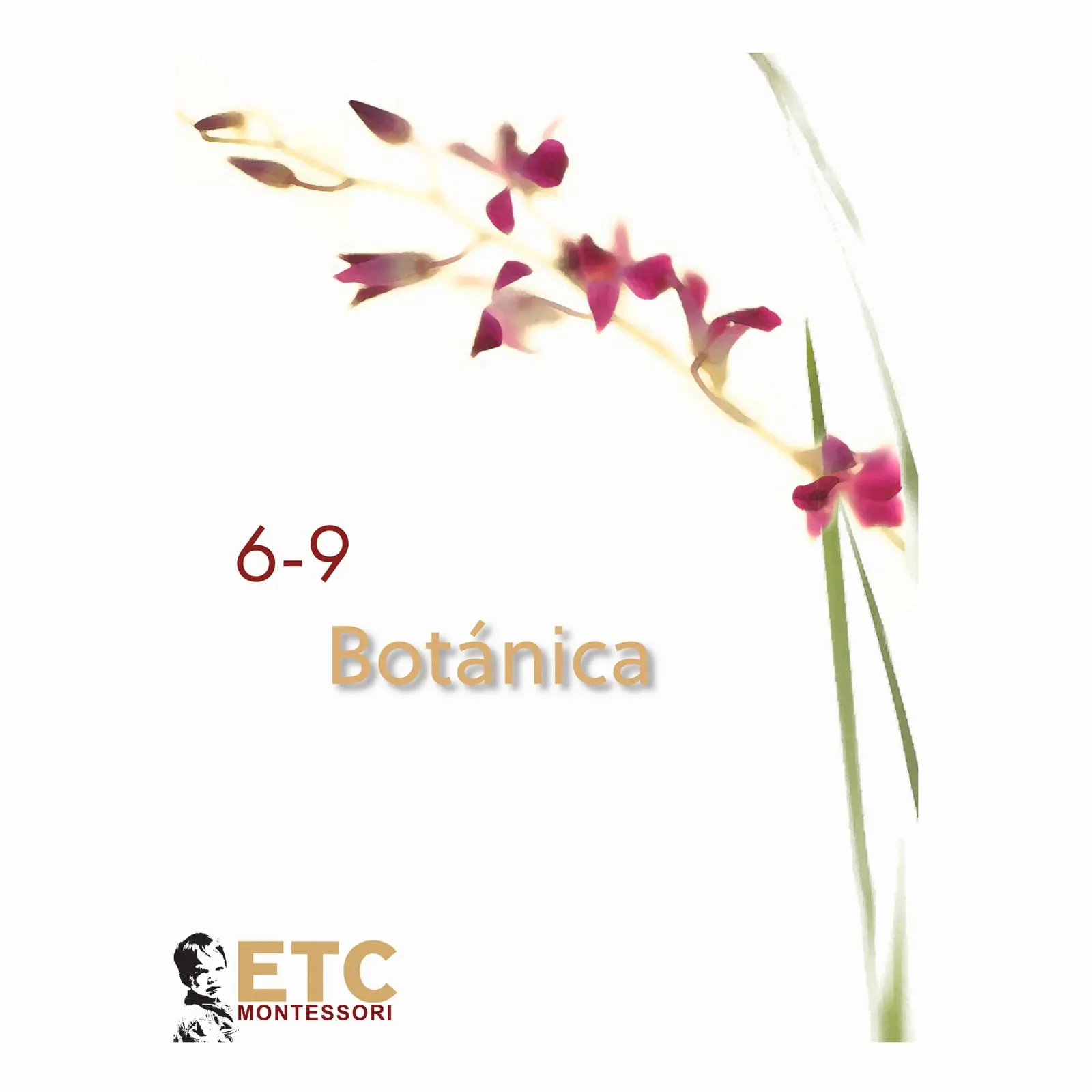 Lower Elementary Botany Cards: Scientific Plant Nomenclature: Child learning
