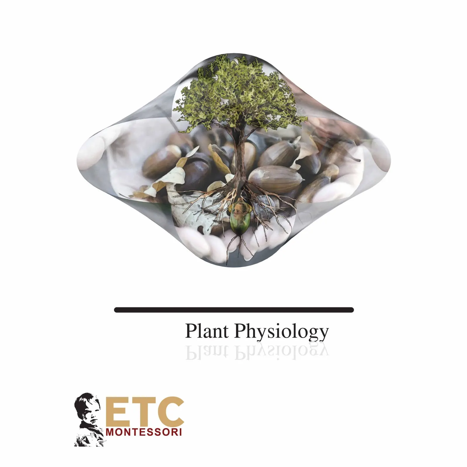 Plant Physiology: 18 Impressionistic Charts: Child learning