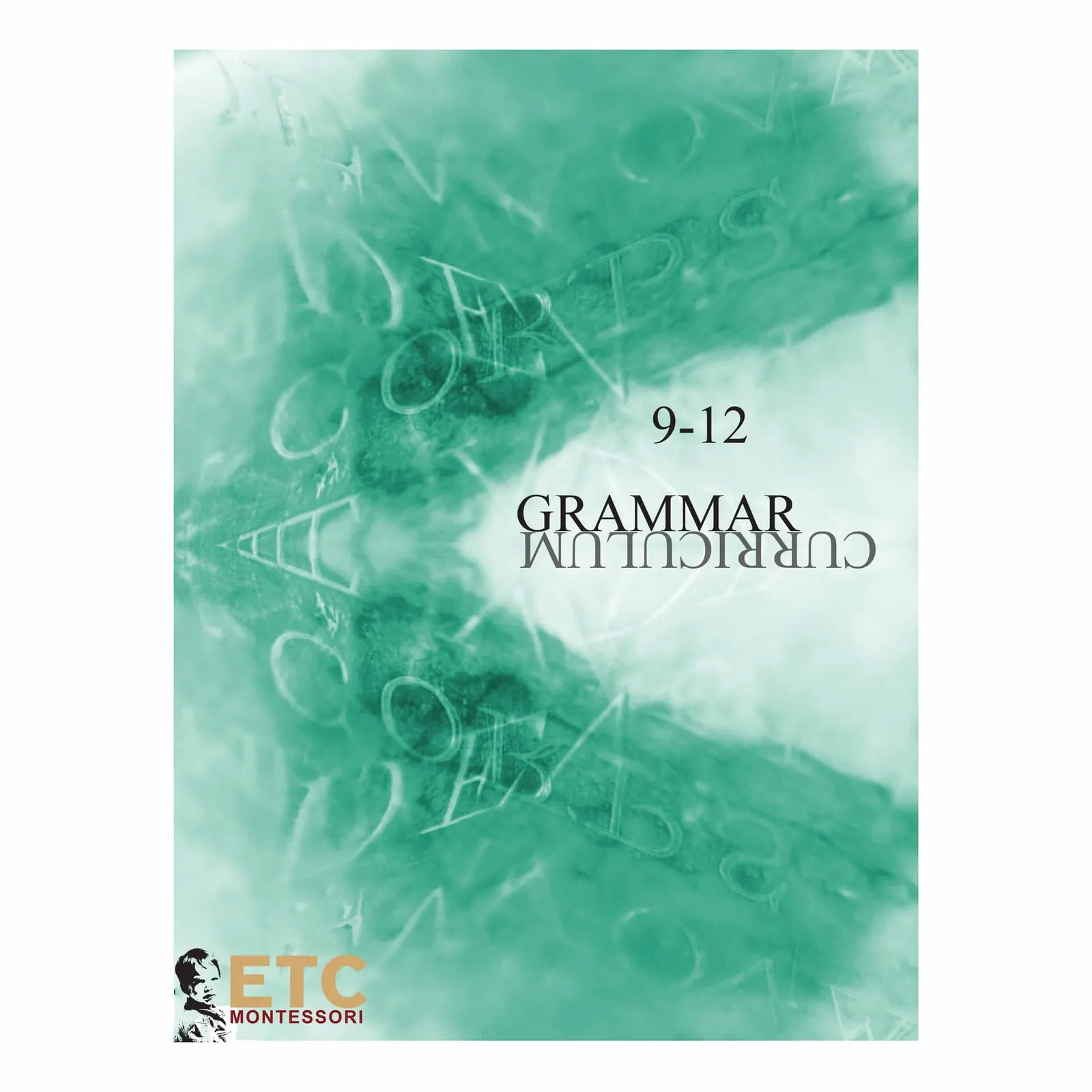 Grammar Curriculum: Advanced Level 9-12 Concepts: Child learning