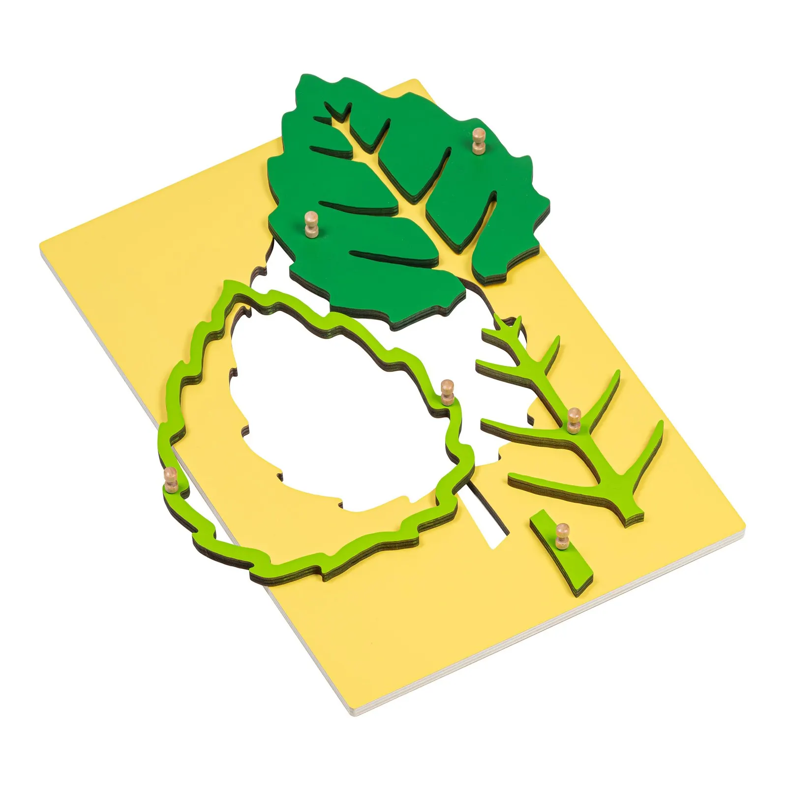 Tree, Leaf, Flower Puzzles: maker's photo 5